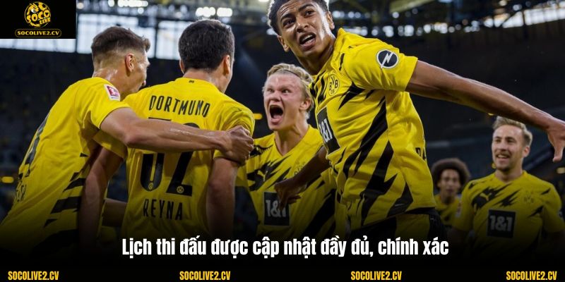 Lịch thi đấu được cập nhật đầy đủ, chính xác