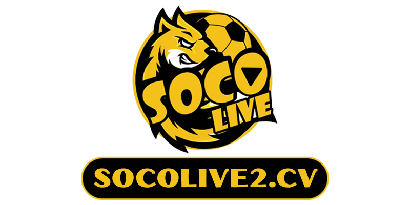 logo footer